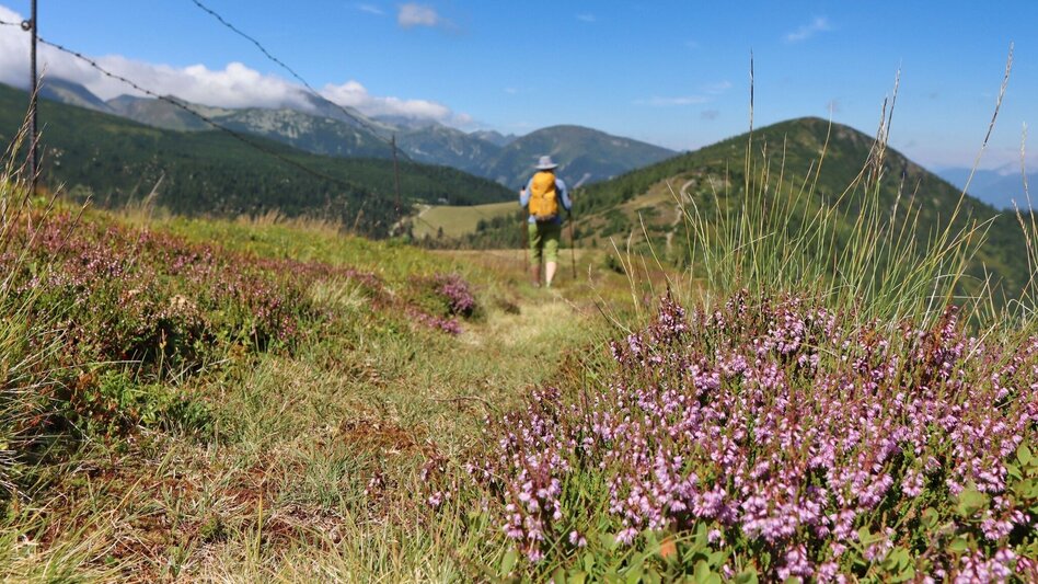 Hiking Route From Mautern to the Bremstein - Touren-Impression #2.13 | © Weges OG