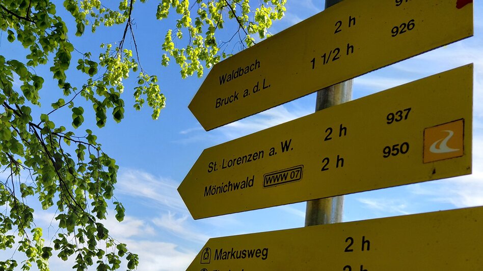 Wanderung Dreimühlenweg, Vorau - Touren-Impression #2.2 | © Tourismusinfo Vorau