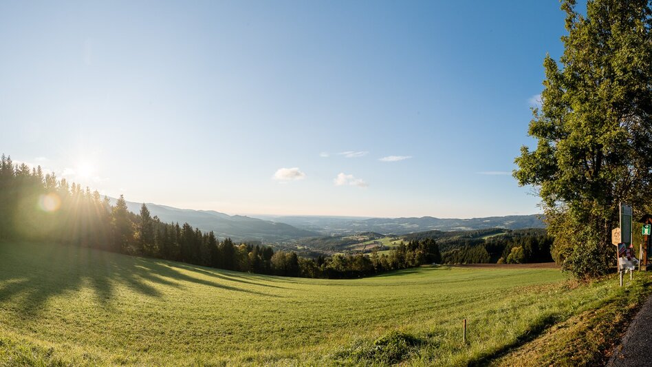 Hiking Route Miesenbach-Round, Miesenbach - Touren-Impression #2.1 | © Oststeiermark Tourismus