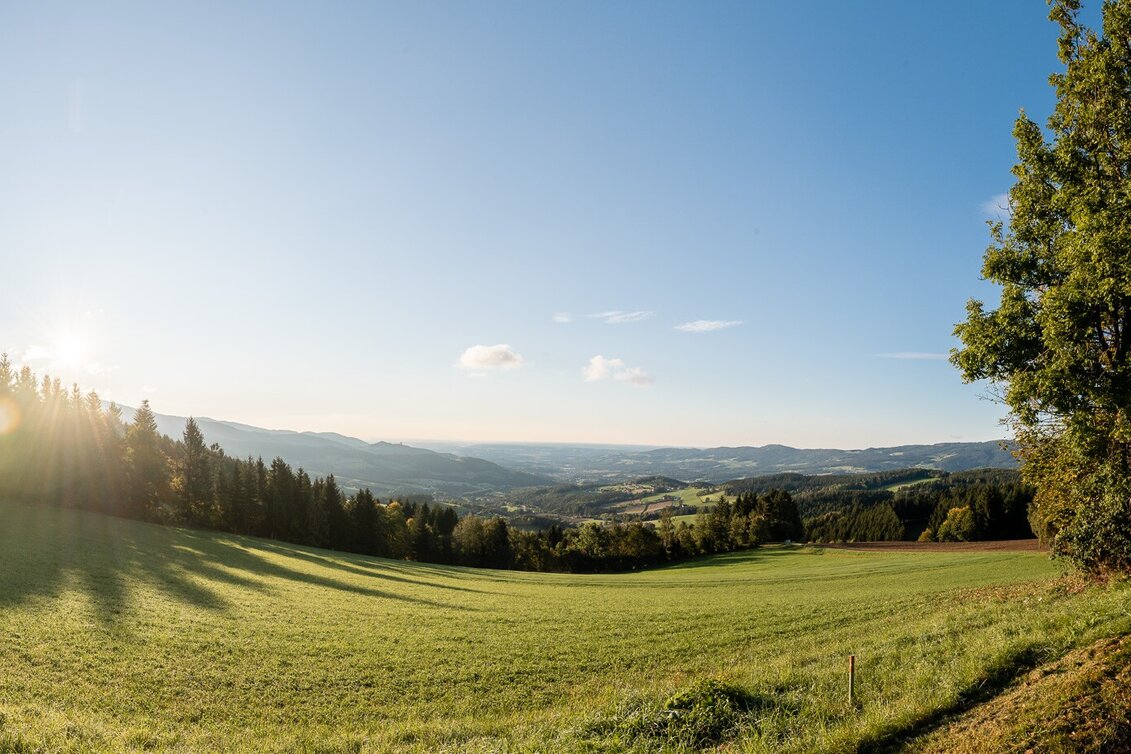Hiking Route Miesenbach-Round, Miesenbach - Touren-Impression #1 | © Oststeiermark Tourismus