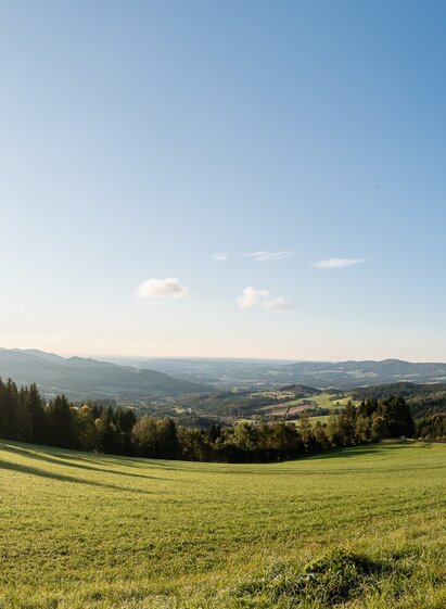 View of Schloffereck_Miesenbach_Eastern Styria | © Oststeiermark Tourismus | Klaus Ranger | © Oststeiermark Tourismus