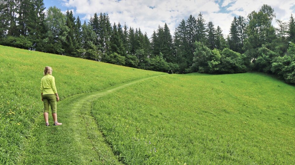 Wanderung Rundwanderweg zur Kalvarienbergkirche und zur Jausenstation Hoanzl - Touren-Impression #2.3 | © Weges OG