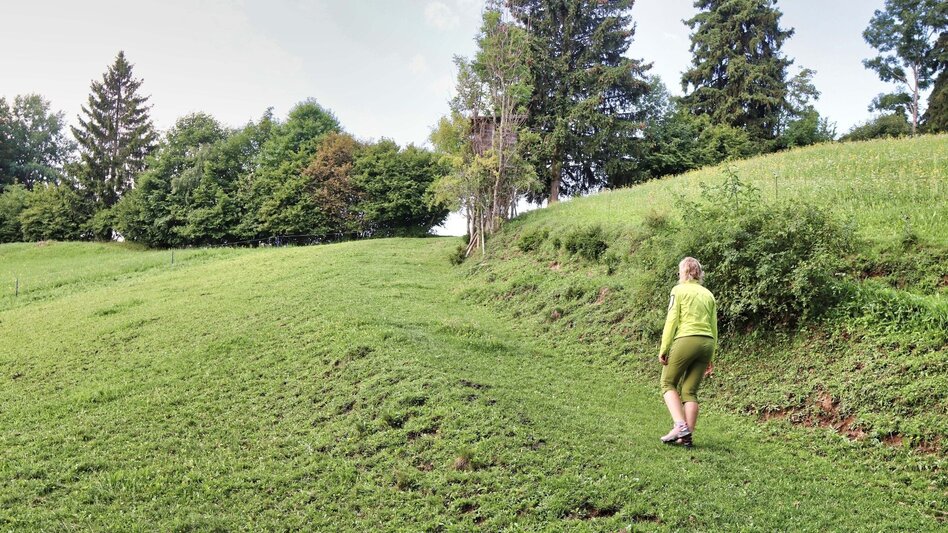 Wanderung Rundwanderweg zur Kalvarienbergkirche und zur Jausenstation Hoanzl - Touren-Impression #2.8 | © Weges OG