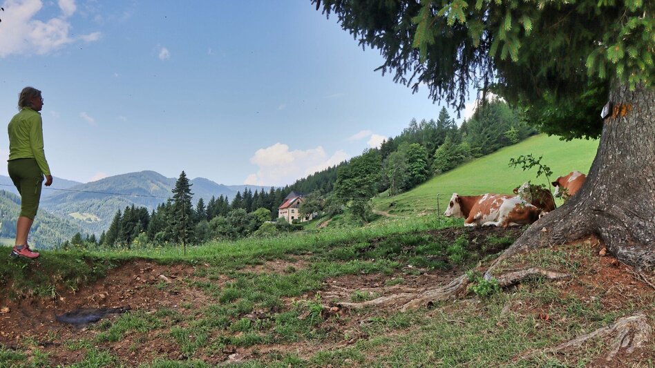 Wanderung Rundwanderweg zur Kalvarienbergkirche und zur Jausenstation Hoanzl - Touren-Impression #2.9 | © Weges OG