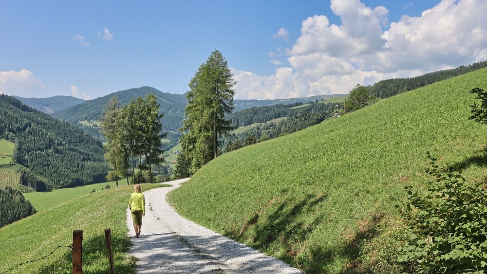 Wanderung Rundwanderweg zur Kalvarienbergkirche und zur Jausenstation Hoanzl - Touren-Impression #2.12 | © Weges OG