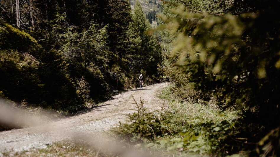 Mountainbike Tour H3 - MTB - Wichtelhütte - Touren-Impression #2.2 | © Damira Slodnjak
