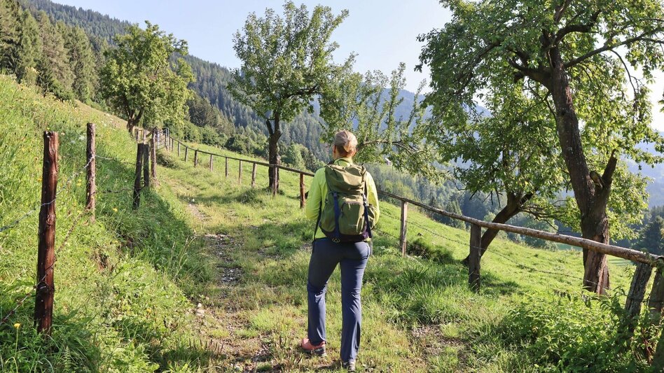 Wanderung Habring von Unzmarkt-Frauenburg - Touren-Impression #2.4 | © Weges OG