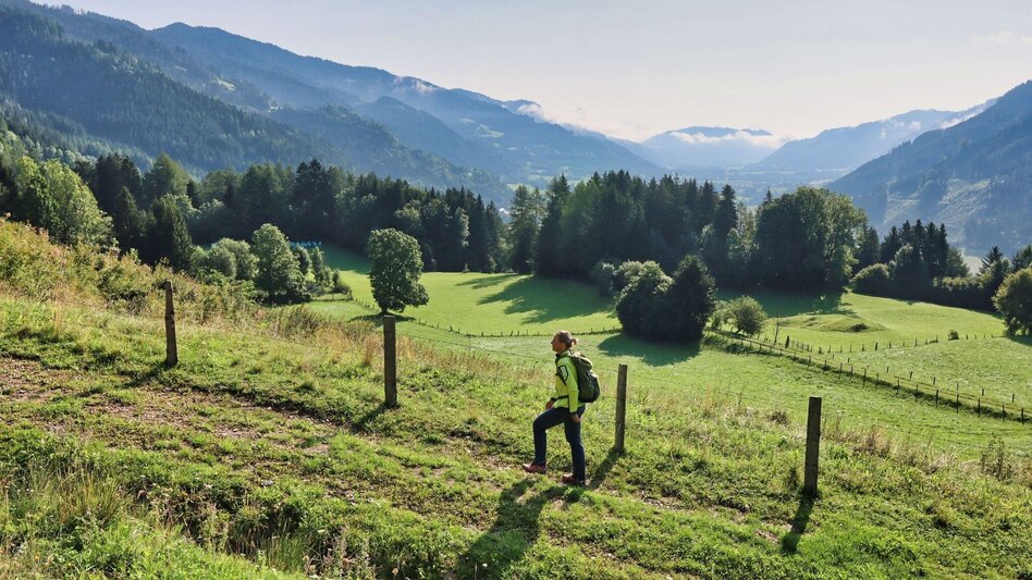 Wanderung Habring von Unzmarkt-Frauenburg - Touren-Impression #2.5 | © Weges OG