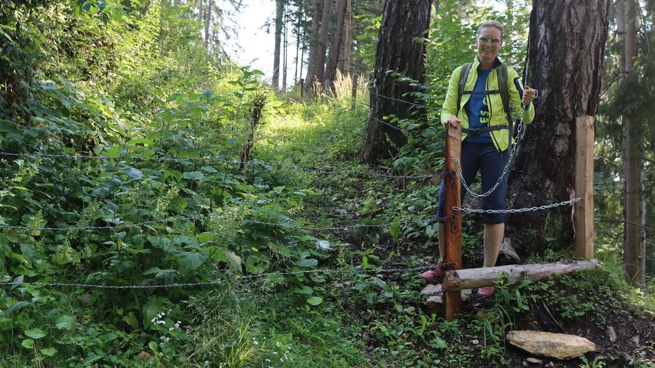Wanderung Habring von Unzmarkt-Frauenburg - Touren-Impression #2.6 | © Weges OG