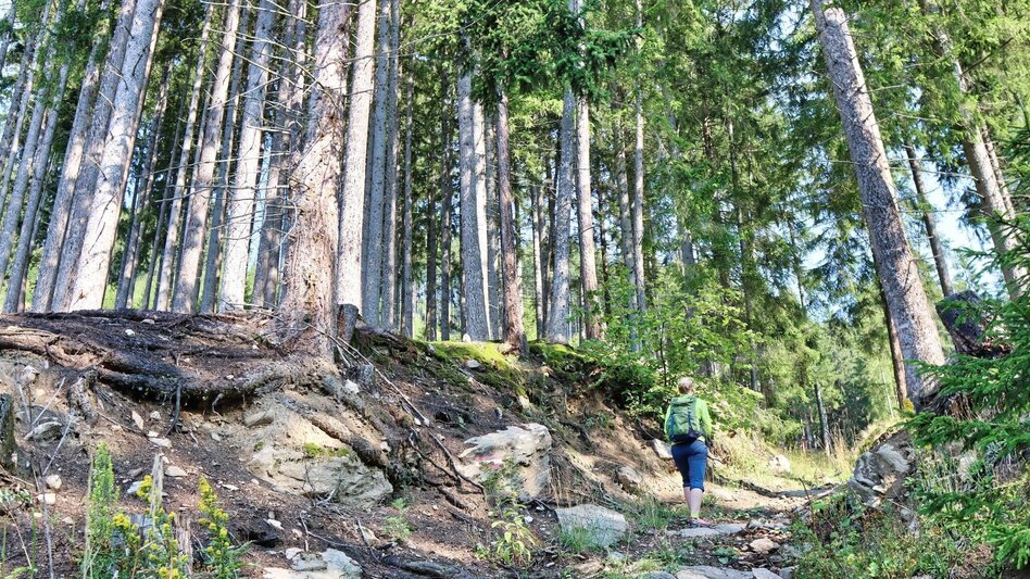 Wanderung Habring von Unzmarkt-Frauenburg - Touren-Impression #2.7 | © Weges OG