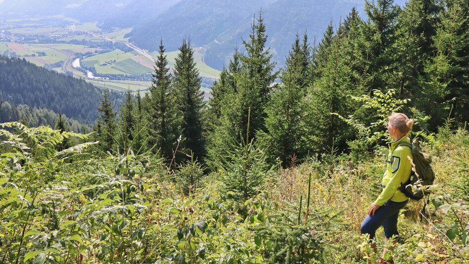 Wanderung Habring von Unzmarkt-Frauenburg - Touren-Impression #2.8 | © Weges OG