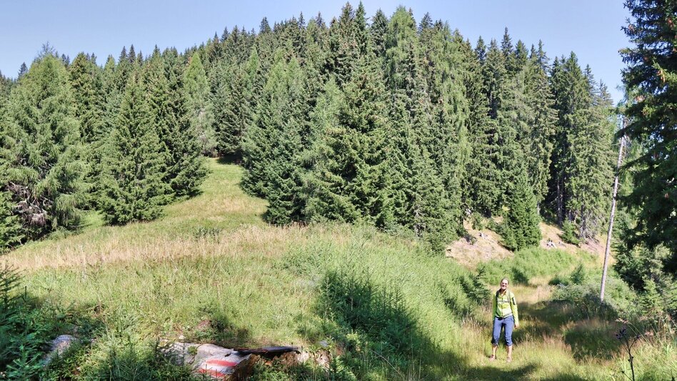 Wanderung Habring von Unzmarkt-Frauenburg - Touren-Impression #2.12 | © Weges OG