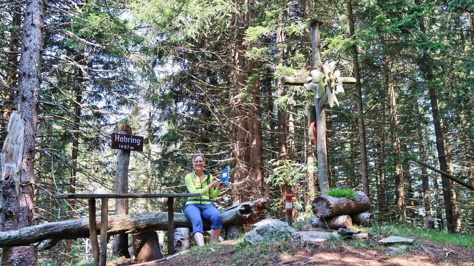 Wanderung Habring von Unzmarkt-Frauenburg - Touren-Impression #2.14 | © Weges OG