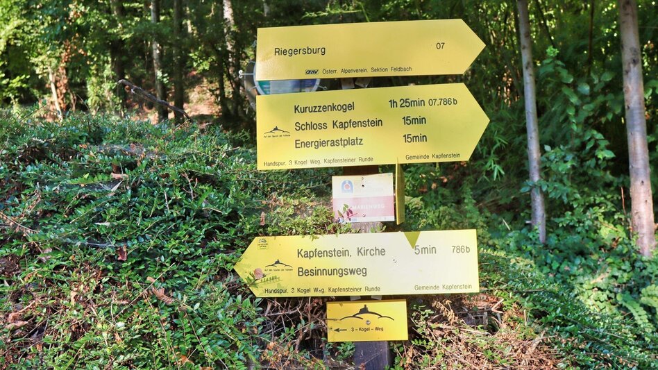 Wanderung 3-Kogel-Weg Variante - Touren-Impression #2.2 | © Thermen- & Vulkanland