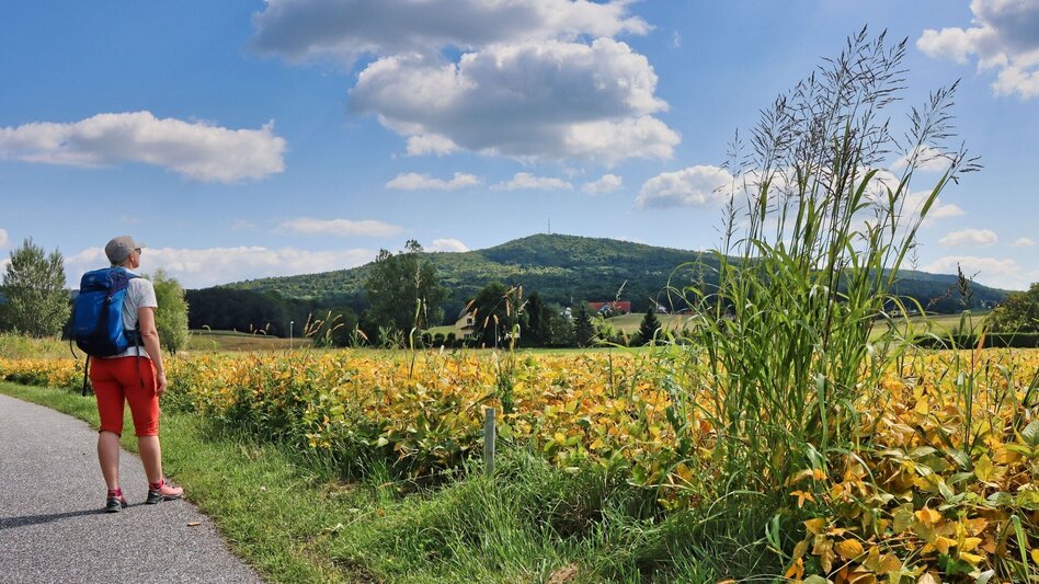Wanderung 3-Kogel-Weg Variante - Touren-Impression #2.8 | © Thermen- & Vulkanland