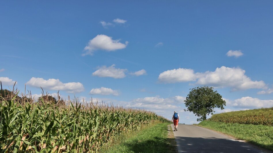 Wanderung 3-Kogel-Weg Variante - Touren-Impression #2.10 | © Thermen- & Vulkanland