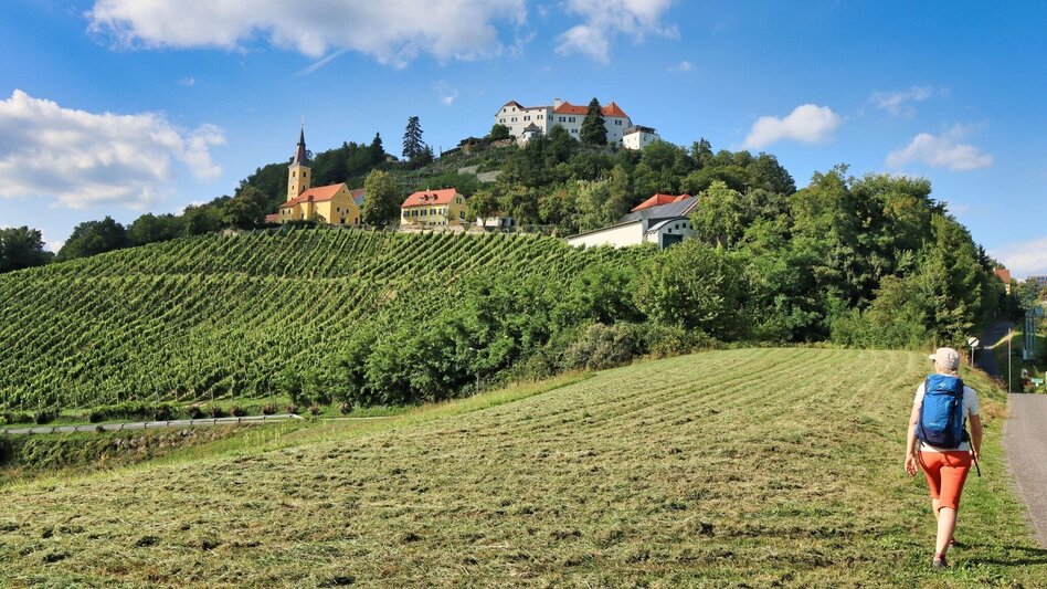 Wanderung 3-Kogel-Weg Variante - Touren-Impression #2.13 | © Thermen- & Vulkanland