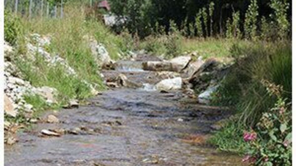 Wanderung Lechner Graben - Wildbachlweg, Strallegg - Touren-Impression #2.3 | © Robert Schafferhofer