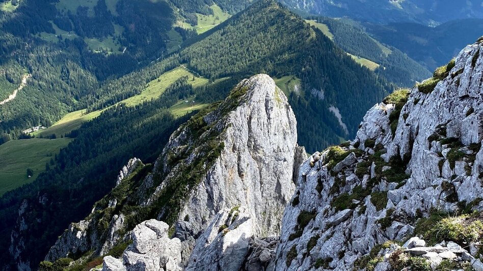 Klettersteig Wildfrauensteig - Bosruck Nordostgrad - Touren-Impression #2.6 | © TV Gesäuse