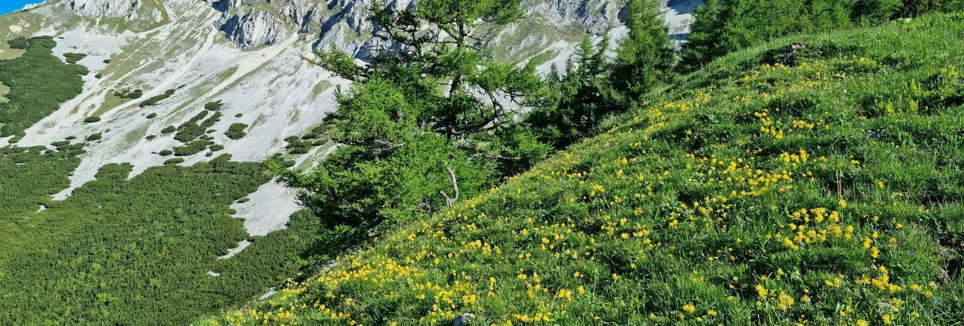 Hiking route BergZeitReise Tagestourentipp - die vielfältige Veitsch - Touren-Impression #1 | © TV Hochsteiermark