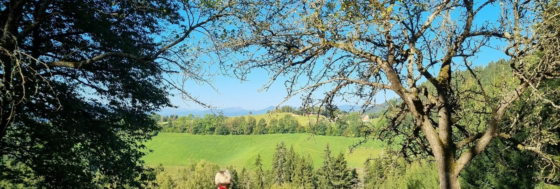 Wanderung Auf die Stanglalm von Stanz im Mürztal aus - Touren-Impression #1 | © TV Hochsteiermark