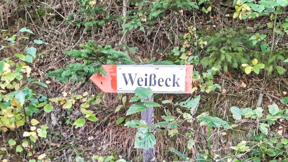 Wanderung Weißeck von St. Georgen ob Judenburg - Touren-Impression #2.5 | © Weges OG