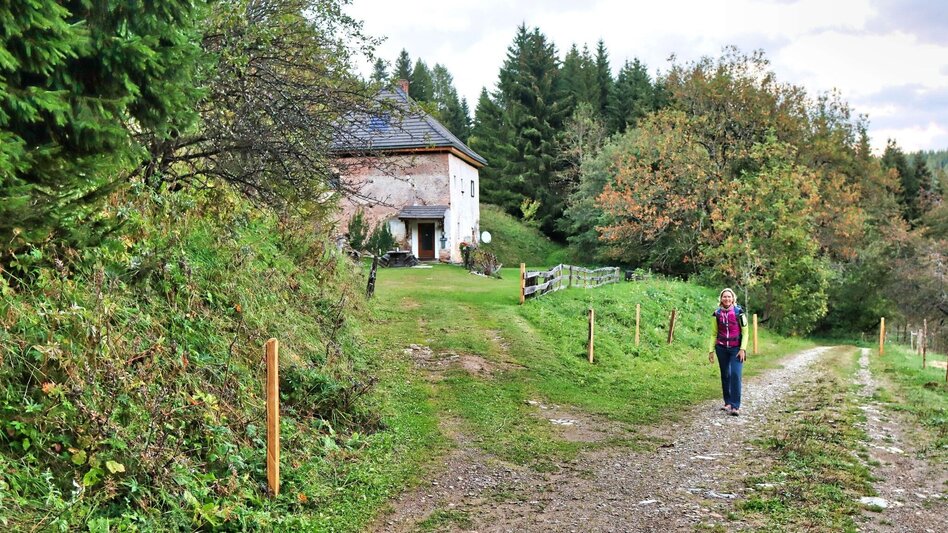 Wanderung Weißeck von St. Georgen ob Judenburg - Touren-Impression #2.6 | © Weges OG