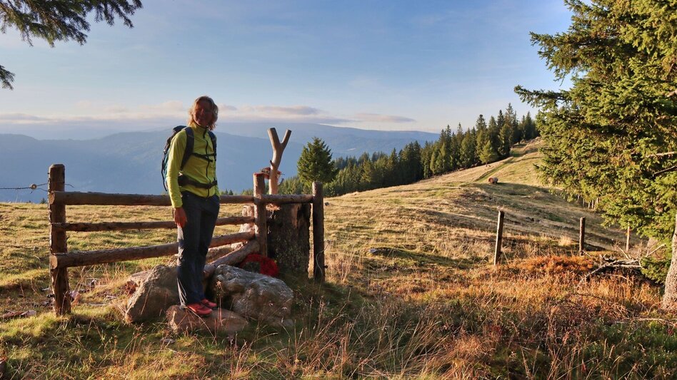Wanderung Weißeck von St. Georgen ob Judenburg - Touren-Impression #2.12 | © Weges OG