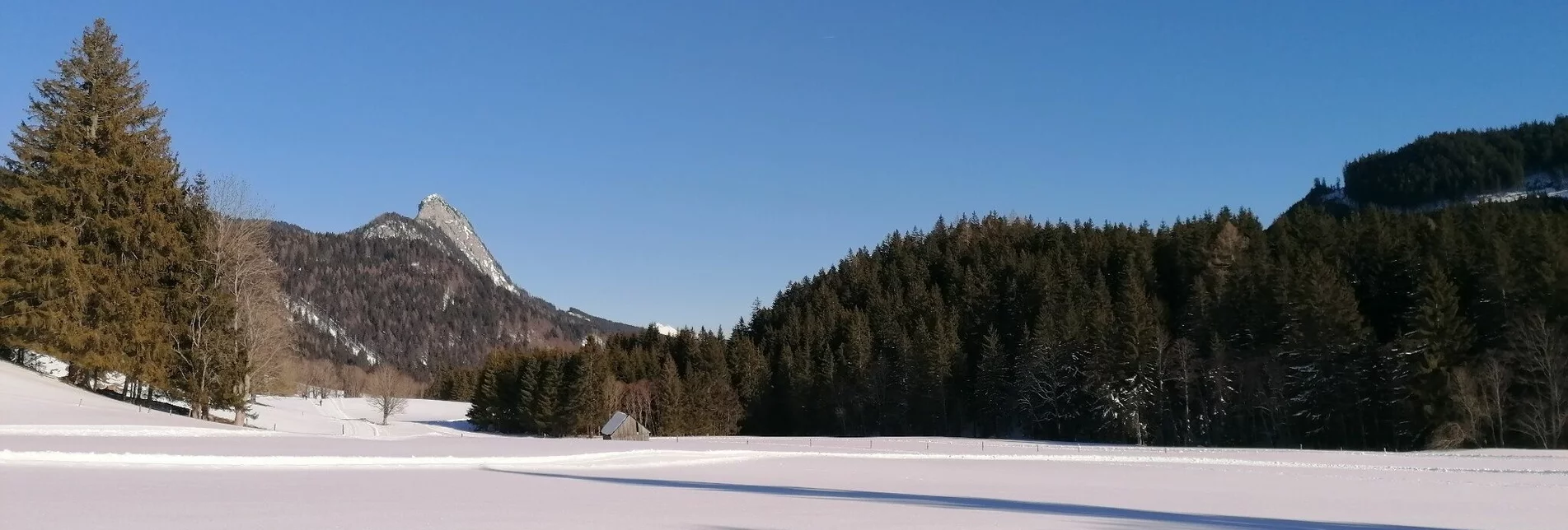 Cross-Country Skiing Spechtensee XC Trail - Touren-Impression #1 | © Erlebnisregion Schladming-Dachstein