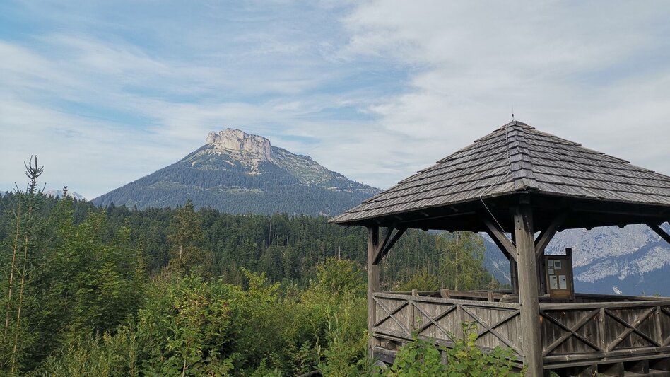 Hiking Route Hike to the ruin Pflindsberg - Touren-Impression #2.4 | © Tourismusverband Ausserland - Salzkammergut