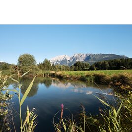 Teich am Laasenweg | © Tourismusverband Ausseerland - Salzkammergut