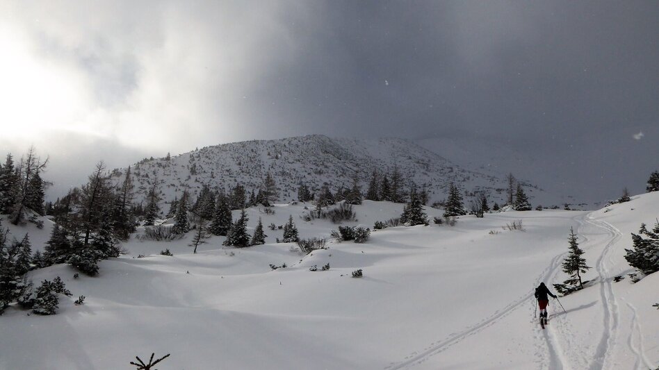 Skitour Skitour auf den Leobner - Touren-Impression #2.6 | © TV Gesäuse