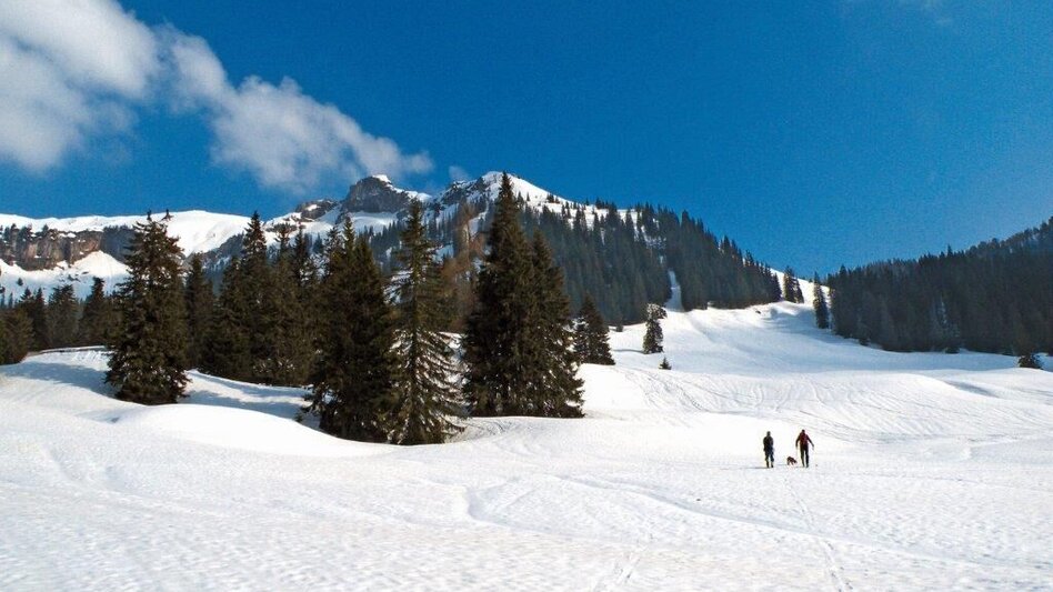 Winterwandern Übereckrunde Johnsbach - Touren-Impression #2.6 | © TV Gesäuse
