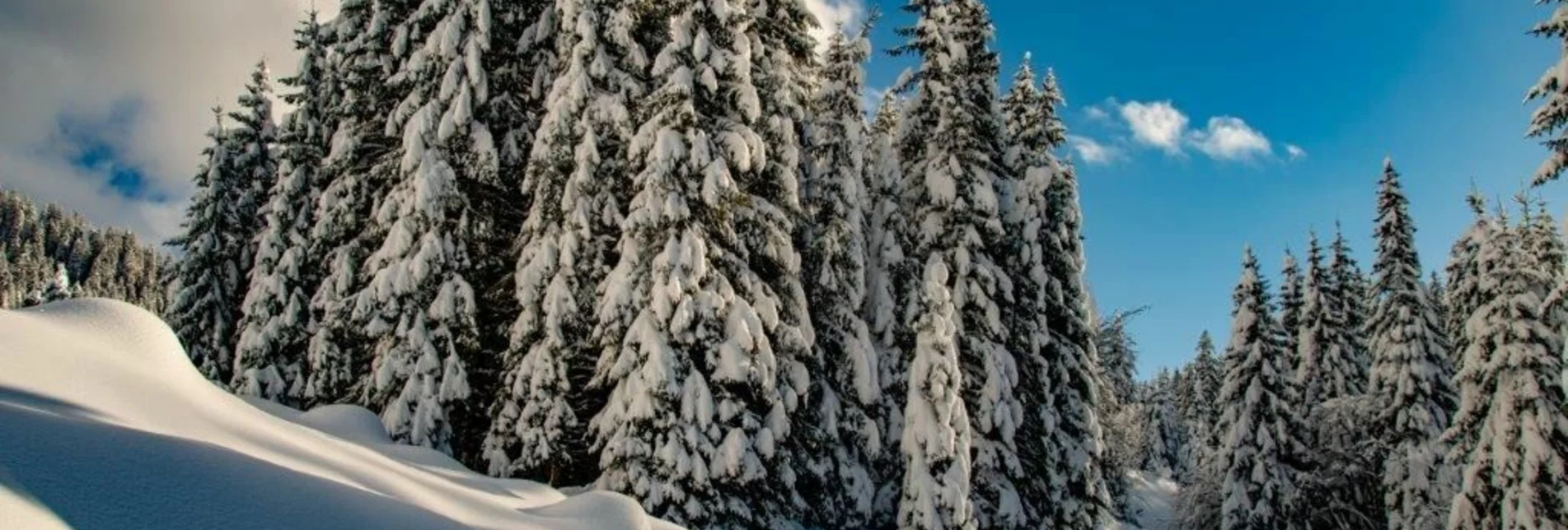 Schneeschuh Übereckrunde Johnsbach - Touren-Impression #1 | © TV Gesäuse