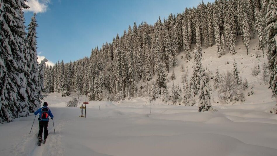 Winterwandern Übereckrunde Johnsbach - Touren-Impression #2.12 | © TV Gesäuse