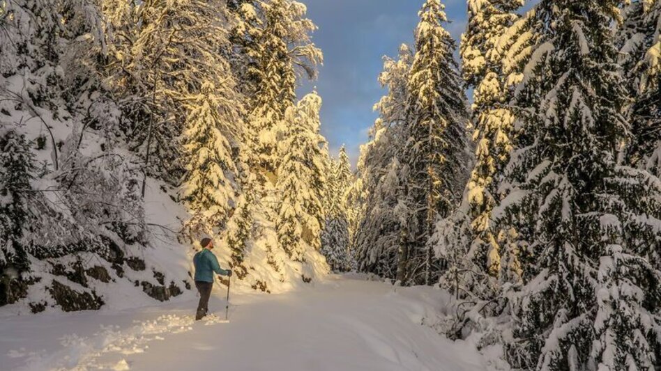 Winterwandern Johnbacher Almenrunde mit Schneeschuhen - Touren-Impression #2.1 | © TV Gesäuse