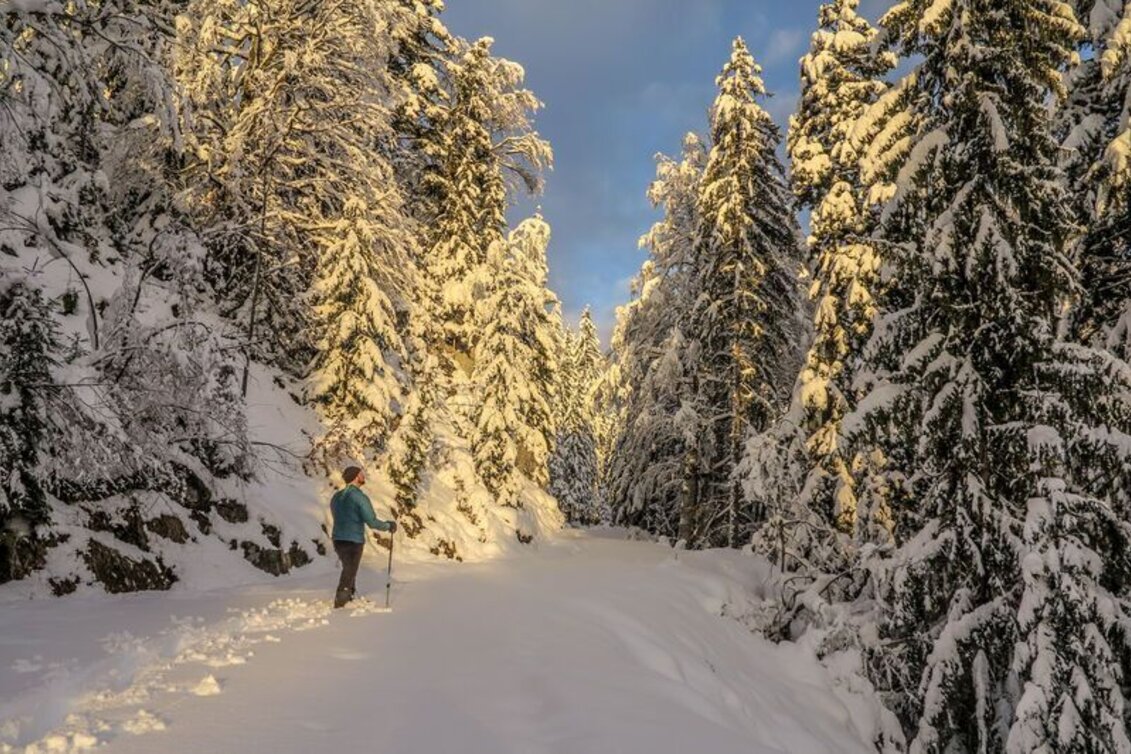 Winterwandern Johnbacher Almenrunde mit Schneeschuhen - Touren-Impression #1 | © TV Gesäuse