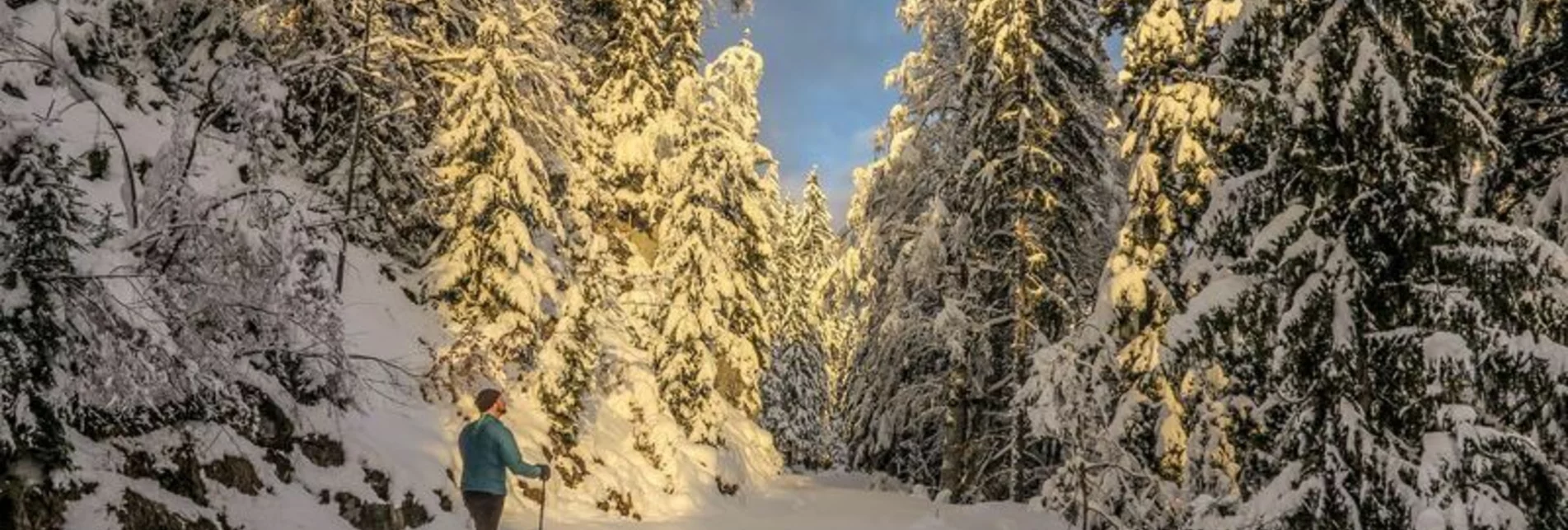 Schneeschuh Johnbacher Almenrunde mit Schneeschuhen - Touren-Impression #1 | © TV Gesäuse