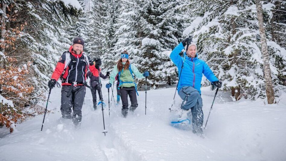 Winterwandern Johnbacher Almenrunde mit Schneeschuhen - Touren-Impression #2.2 | © TV Gesäuse