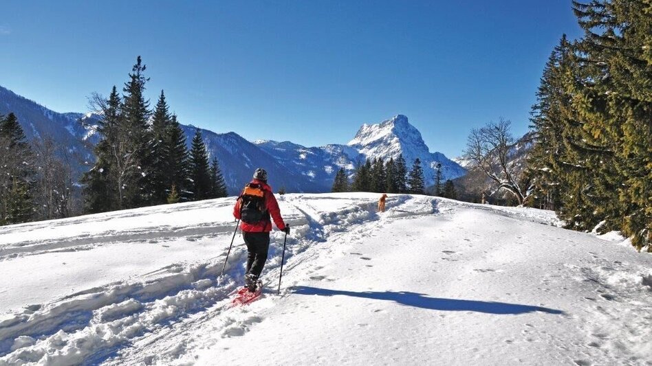 Winterwandern Johnbacher Almenrunde mit Schneeschuhen - Touren-Impression #2.7 | © TV Gesäuse