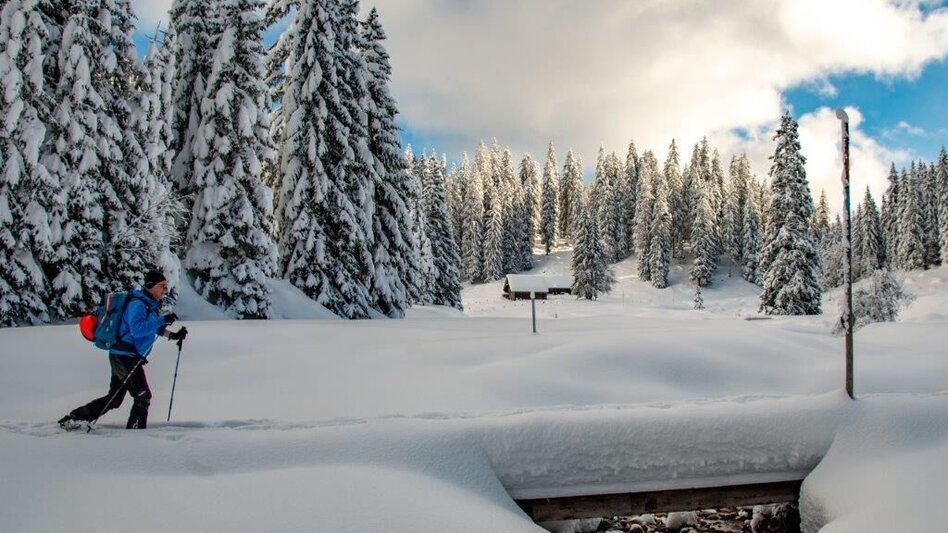 Winterwandern Johnbacher Almenrunde mit Schneeschuhen - Touren-Impression #2.14 | © TV Gesäuse