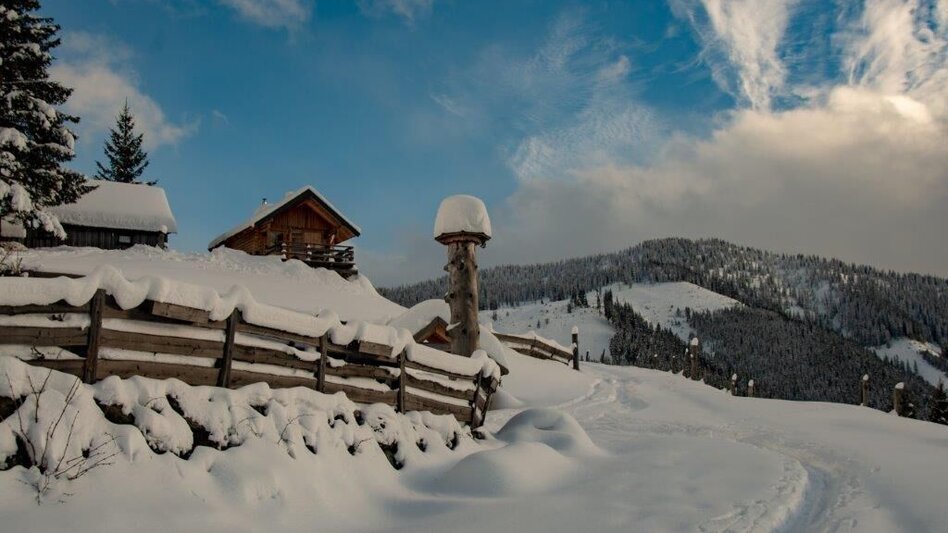 Winterwandern Johnbacher Almenrunde mit Schneeschuhen - Touren-Impression #2.16 | © TV Gesäuse
