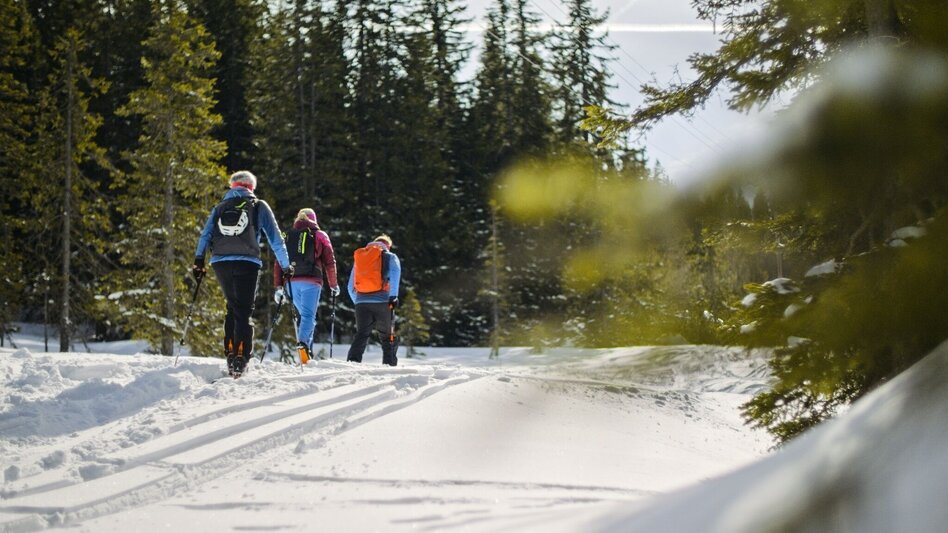 Skitour Pistenskitour Fageralm - Touren-Impression #2.2 | © Reiteralm Bergbahnen