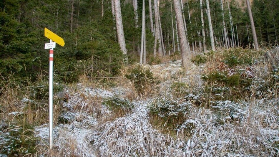 Hiking Route Hohe Trett / Stein Nr. 10 - Touren-Impression #2.7 | © TV Gesäuse