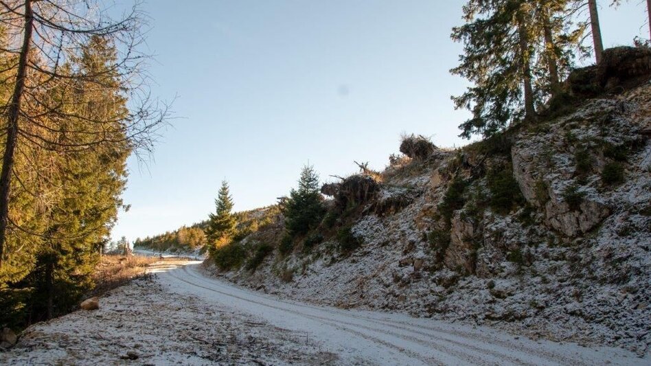 Hiking Route Hohe Trett / Stein Nr. 10 - Touren-Impression #2.9 | © TV Gesäuse