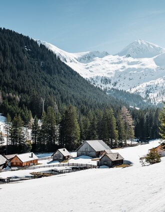 Alpine pasture area at the Sölkpass | Christoph Lukas | © Christoph Lukas