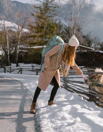 Animal encounter on the Dörfl winter hiking trail | Christoph Lukas | © Erlebnisregion Schladming-Dachstein