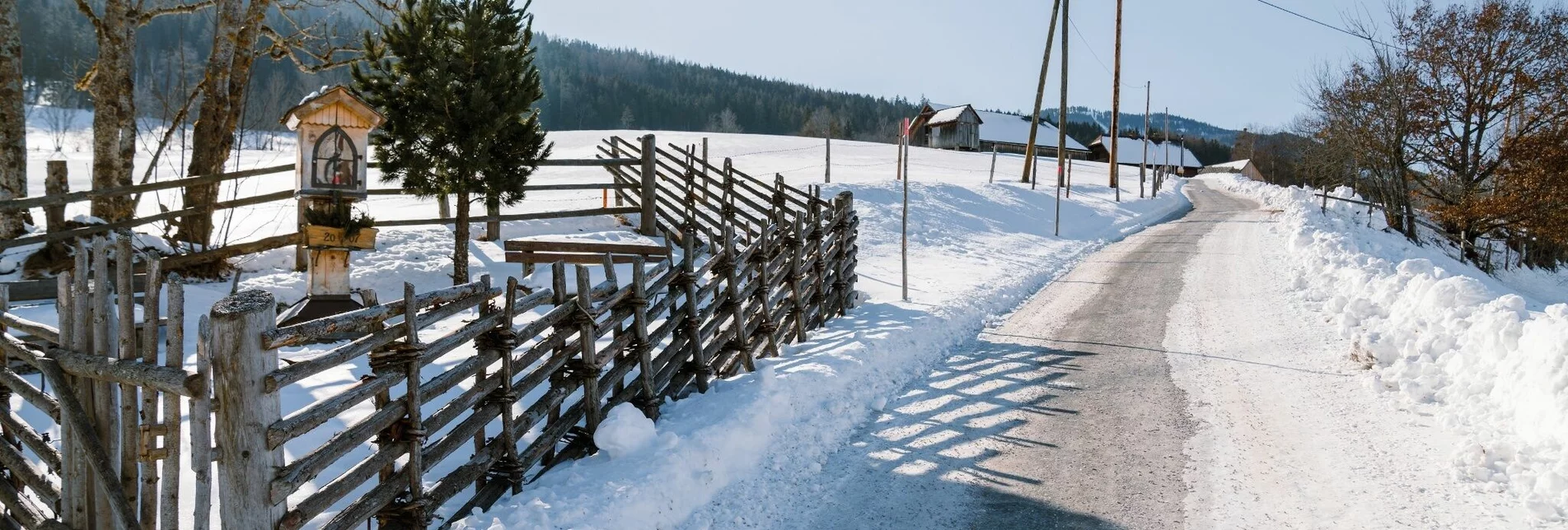 Winterwandern Winterwandern - Moosberg Runde - Touren-Impression #1 | © Erlebnisregion Schladming-Dachstein