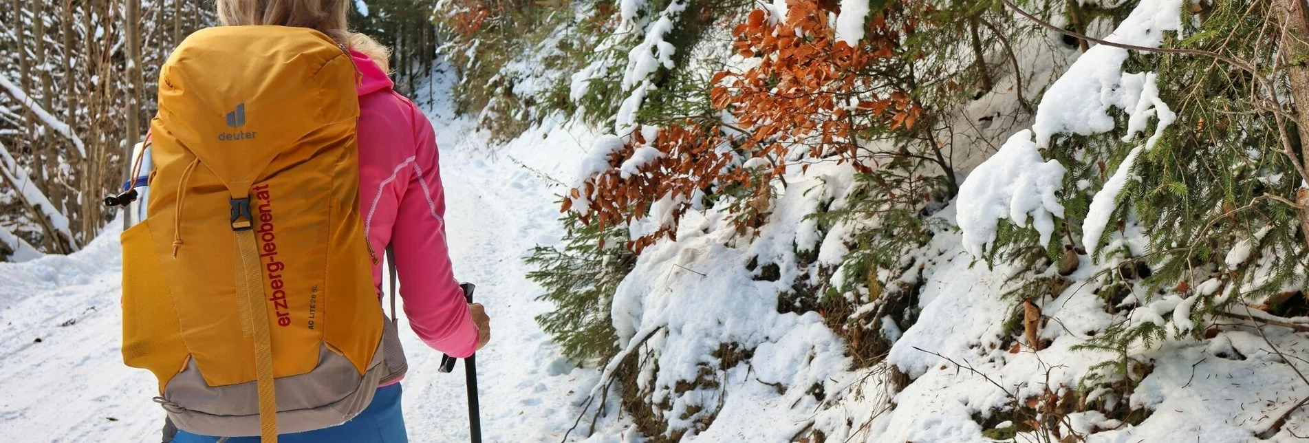 Winterwandern Auf die Mugel im Winter - Hoch über Leoben - Touren-Impression #1 | © Weges OG
