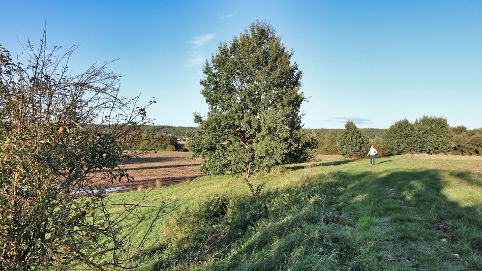 Hiking Route Safentalweg Bad Blumau - Touren-Impression #2.19 | © Thermen- & Vulkanland